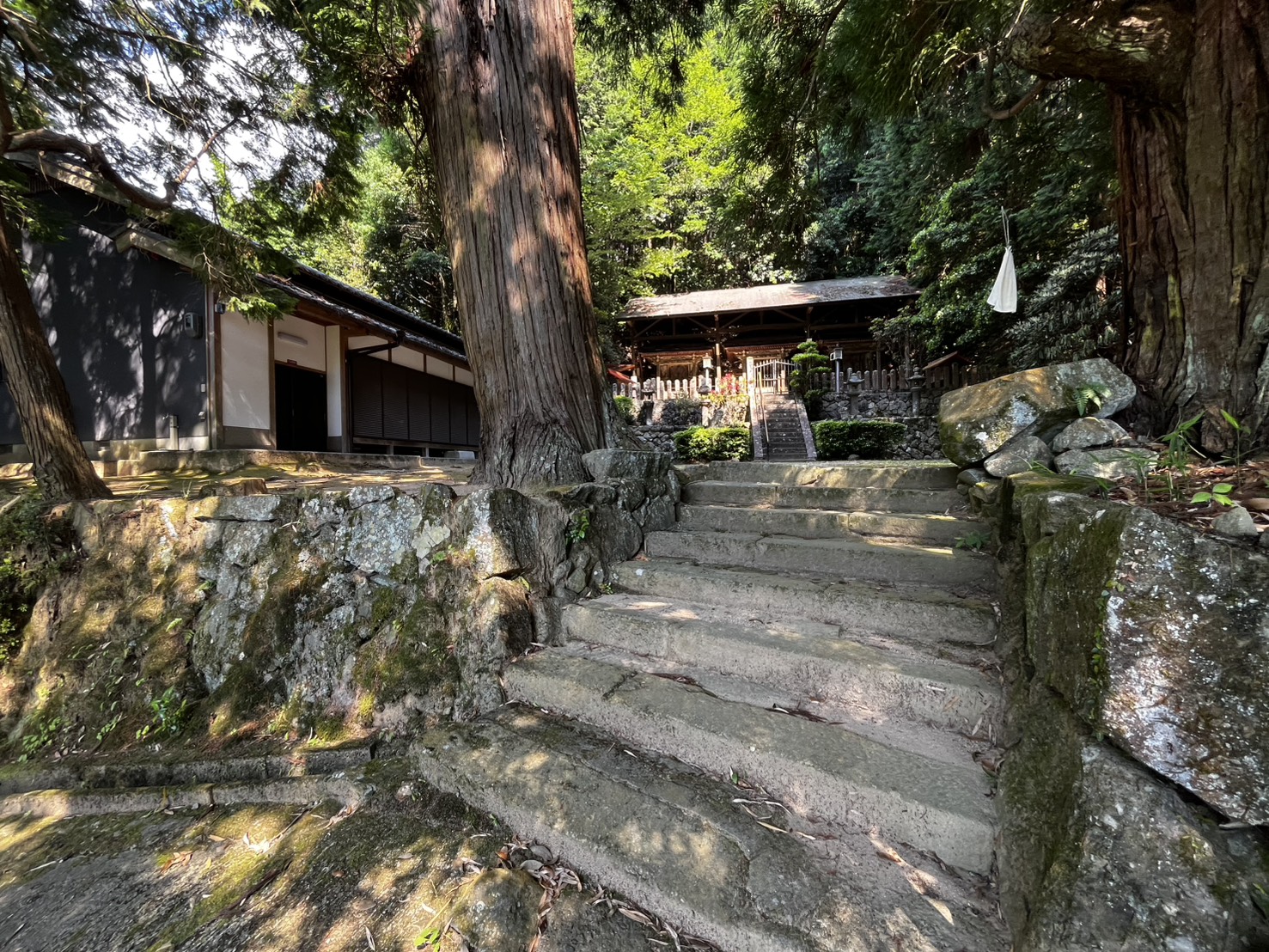 平尾水分神社 鳥居をくぐった先の参道の景観