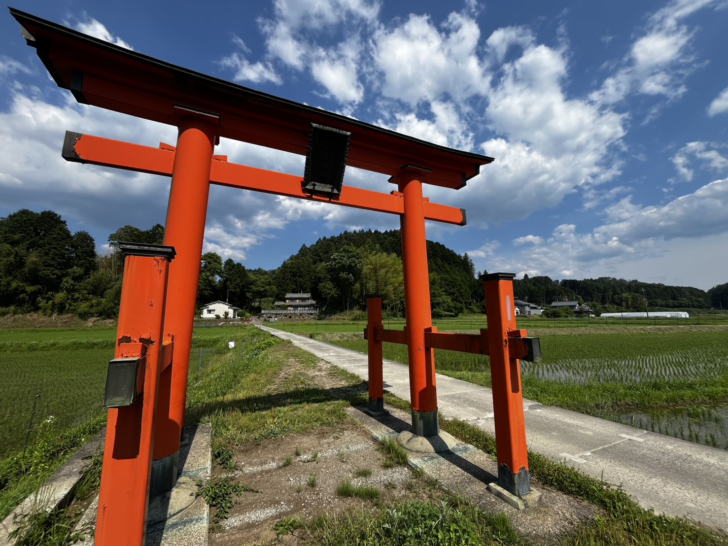 宇陀市大宇陀・平尾水分神社の朱塗り鳥居を田んぼ越しに望む