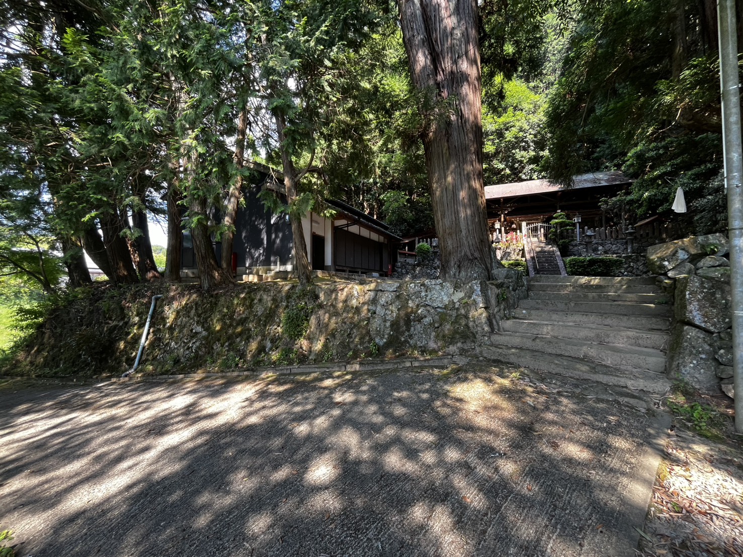 平尾水分神社 苔むした石灯籠と杉木立の参道