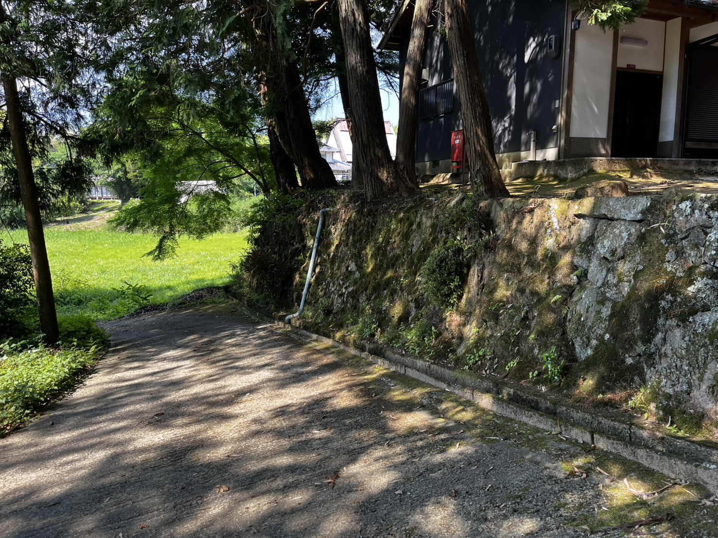 平尾水分神社 参道石段脇にそびえる杉の巨木