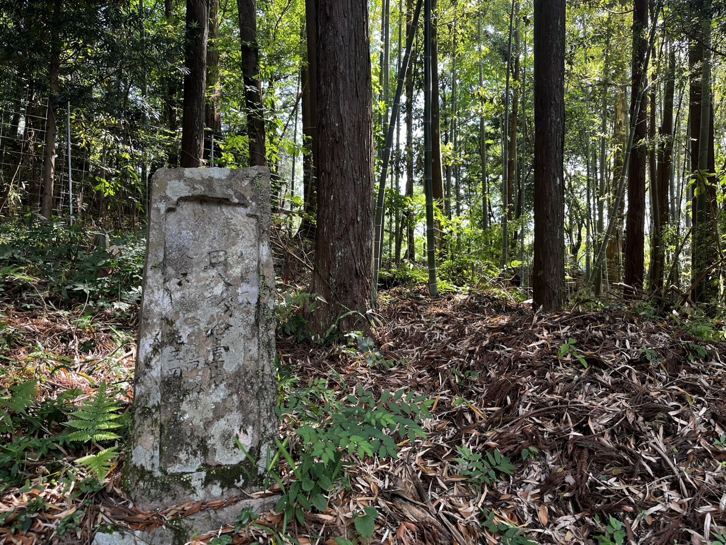 平尾水分神社 整然と管理された境内の全景
