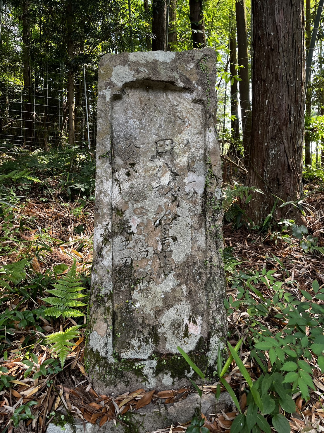 平尾水分神社 境内の石造水盤と周囲の杉木立